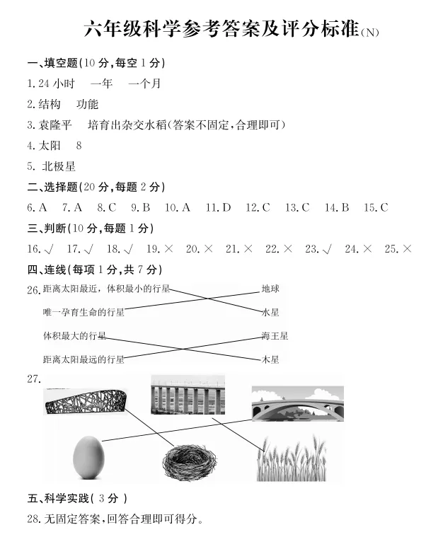 (真题答案)南宫25年和24年六年级期末质量检测试卷答案 第15张