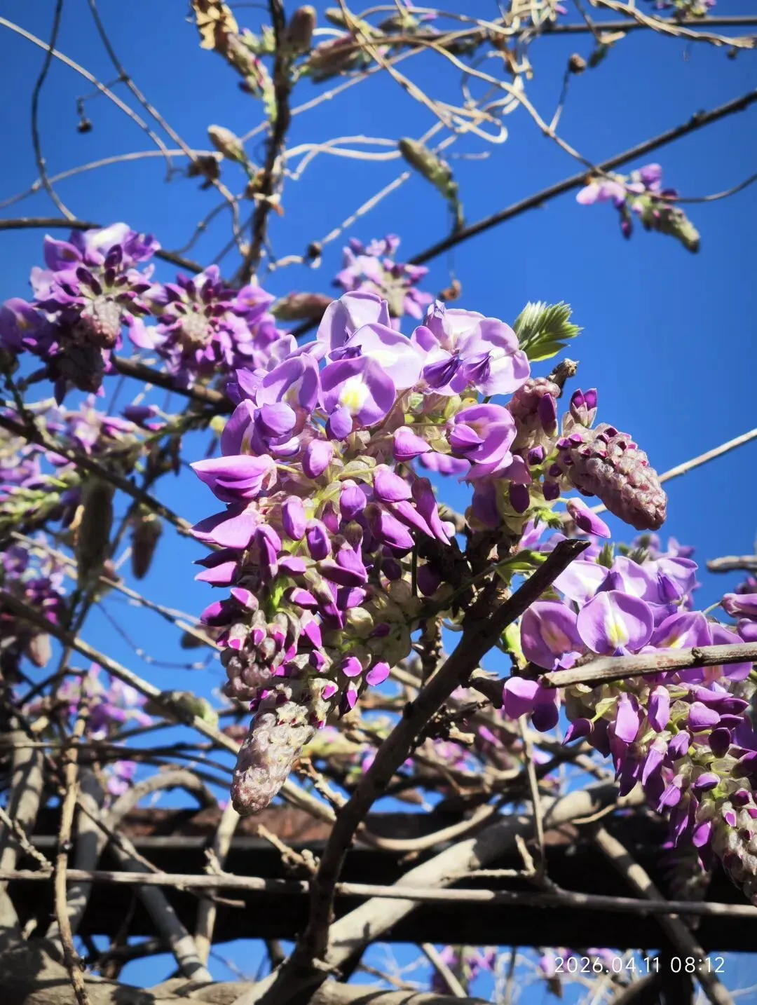 中考倒计时第68天 第1张