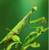 【第1967期B】中考名著阅读题精练(一) 第1张 【第1967期B】中考名著阅读题精练(一) 第1张