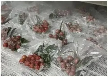 2026+年广东初中学业水平第二次模拟考试 第13张