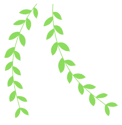 雅思任我行 | 全真模拟考,精准摸底 第4张