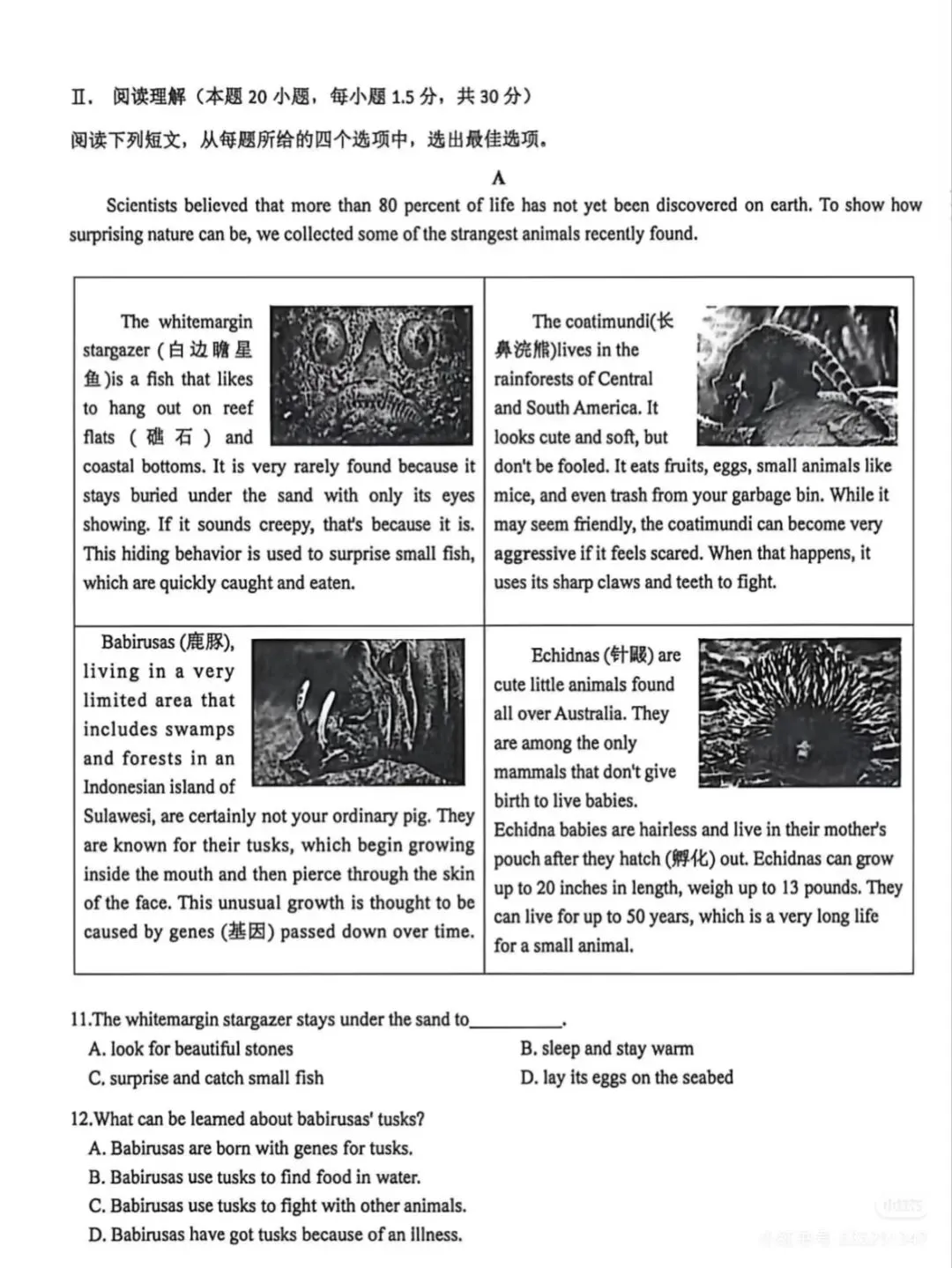 2026青岛市南区初三一模真题+备考建议 第5张