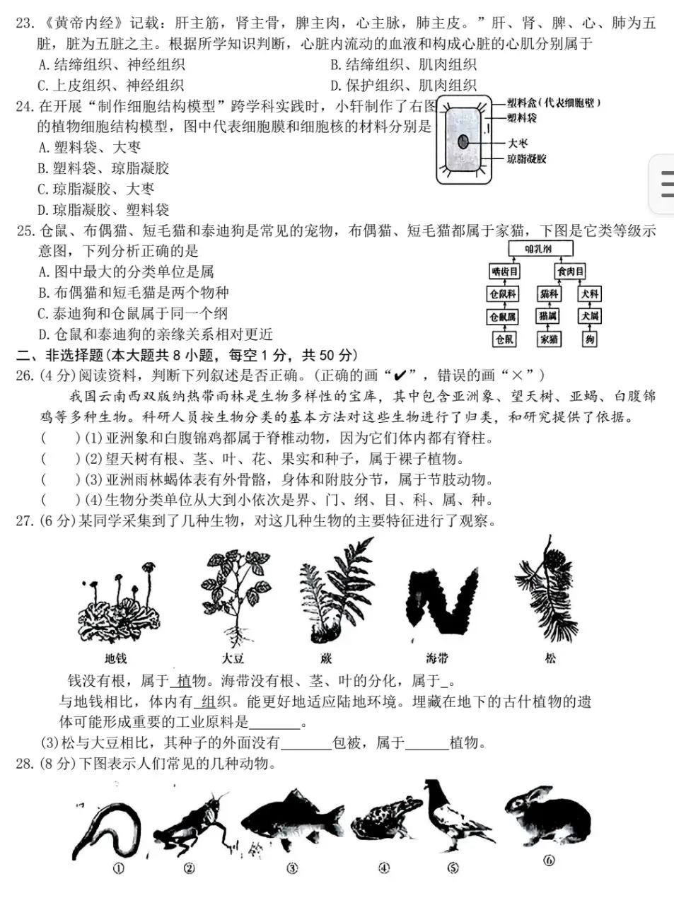 最新人教版初中生物中考复习托底练习01(七上全册)+参考答案 第5张