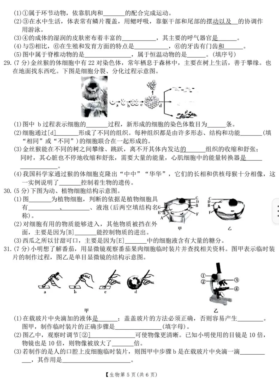 最新人教版初中生物中考复习托底练习01(七上全册)+参考答案 第6张