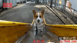 2026年湖南军转考试模拟题(一) 第2张