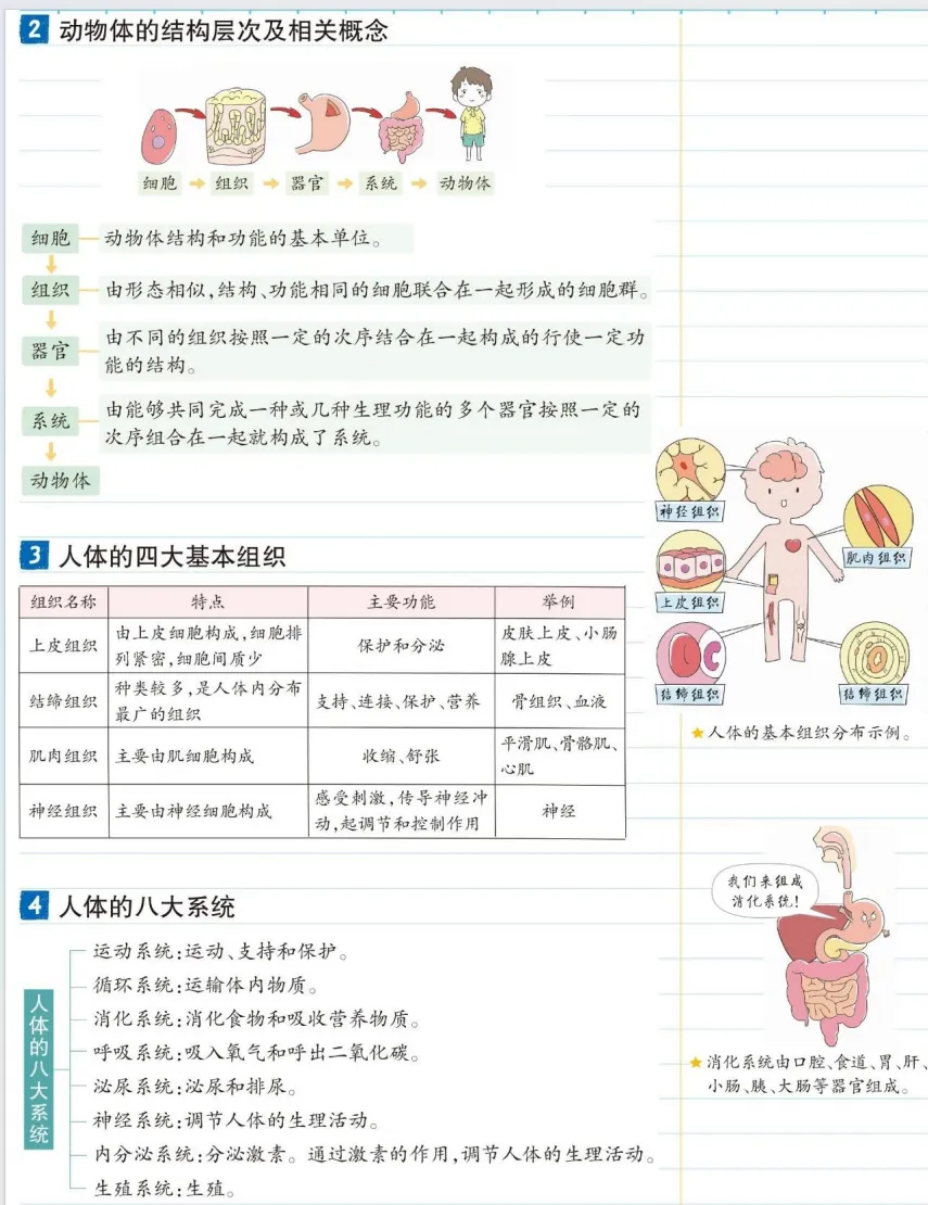 初中各科学霸与中考状元笔记免费分享 第8张