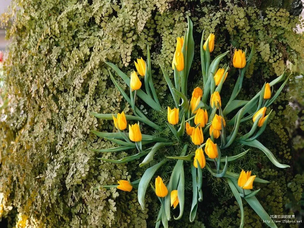 《红星照耀中国》中考简答题(二) 第1张 《红星照耀中国》中考简答题(二) 第1张