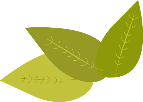 【试卷分享】江西2026中考数学一模突破卷 第4张