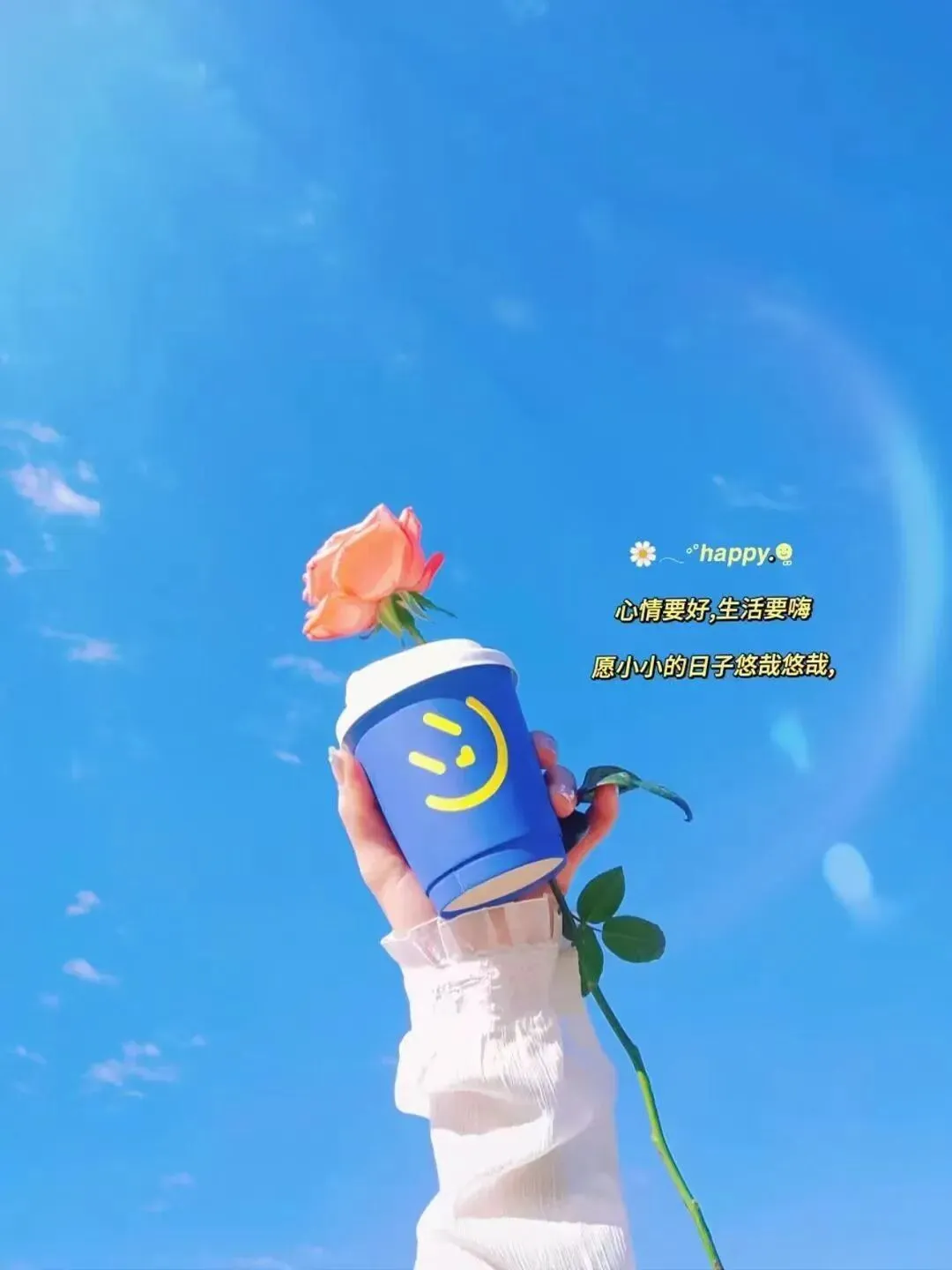 【试卷分享】江西2026中考数学一模突破卷 第12张