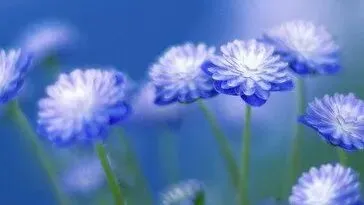 名师领航备中考 精准施策提质效 ---麦积区2026年中考备考学科教师培训会 第14张