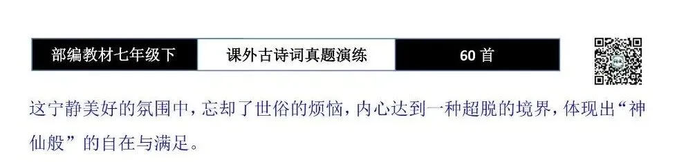 【古诗文真题演练复习】七年级下-13课外古诗词60套(20元) 第96张