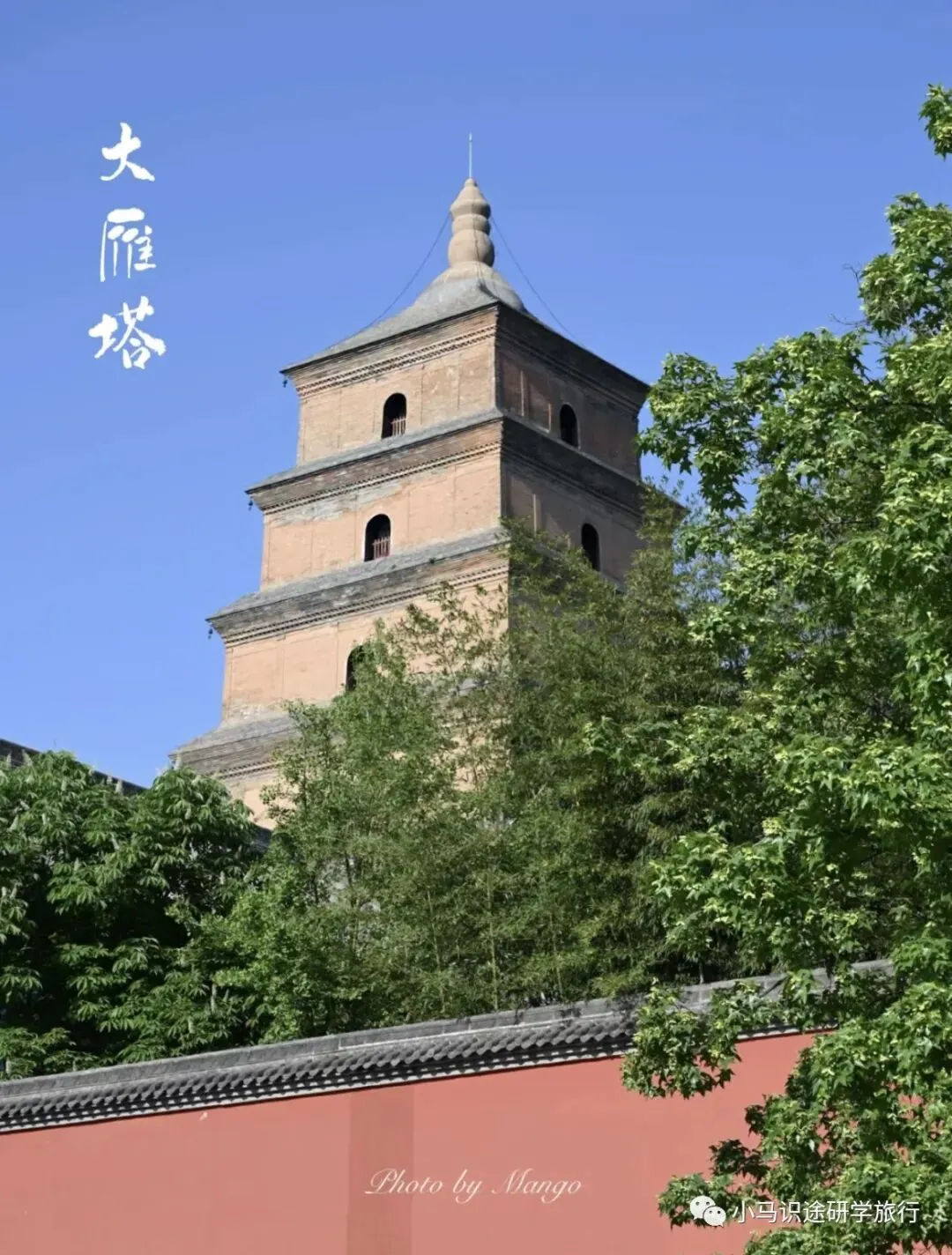 【中考假长途研学】行知西安|半坡博物馆+兵马俑+陕历博+碑林+城墙+大雁塔+大唐西市博物馆+西北大学+袁家村+穿汉服化唐妆 第69张