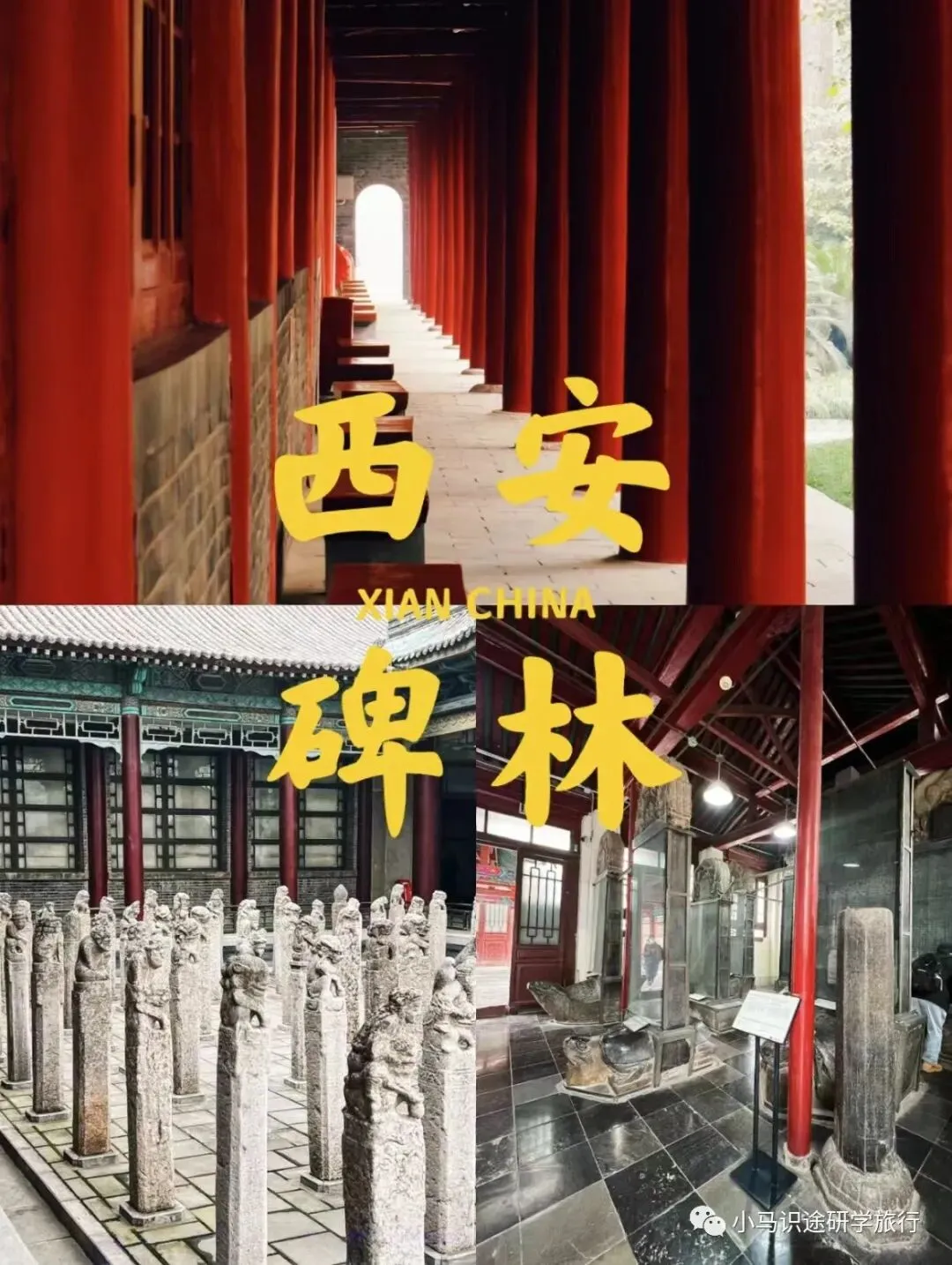 【中考假长途研学】行知西安|半坡博物馆+兵马俑+陕历博+碑林+城墙+大雁塔+大唐西市博物馆+西北大学+袁家村+穿汉服化唐妆 第84张