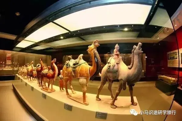 【中考假长途研学】行知西安|半坡博物馆+兵马俑+陕历博+碑林+城墙+大雁塔+大唐西市博物馆+西北大学+袁家村+穿汉服化唐妆 第95张