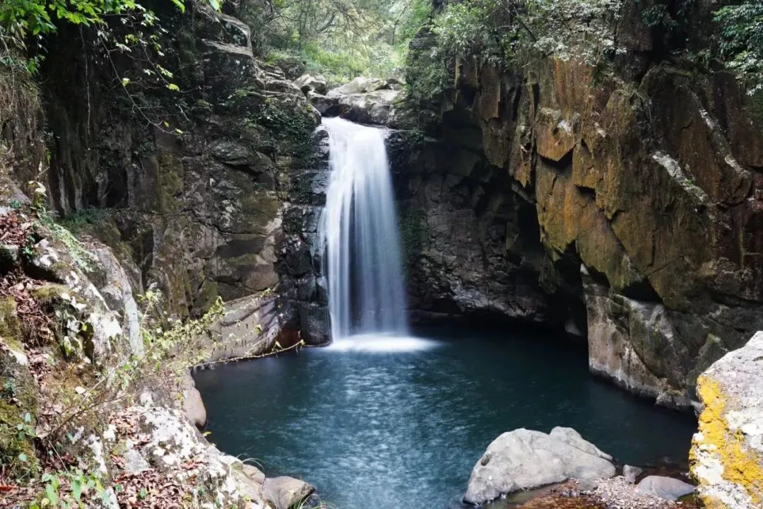 五篇中考满分作文,细腻温情满含哲思,值得收藏! 第2张