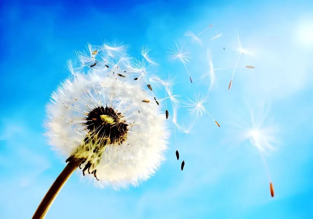 中考作文高分突破|《当好自己故事的主角》(2024年广东卷) 第5张