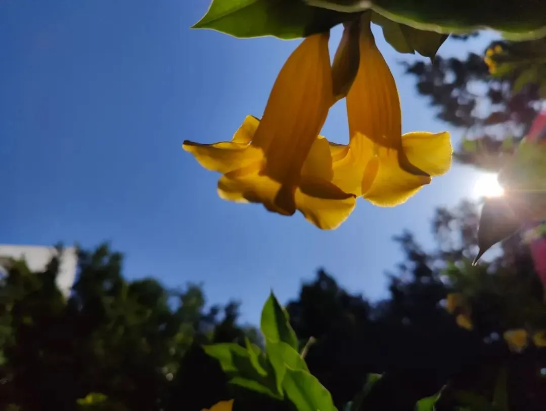 中考作文高分突破|《当好自己故事的主角》(2024年广东卷) 第11张