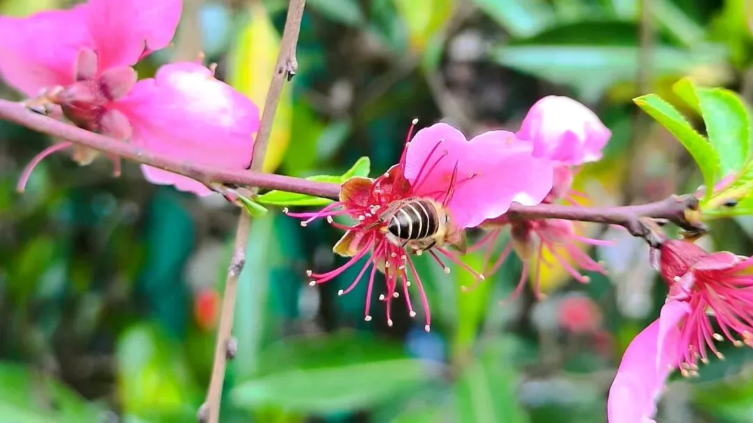 中考作文高分突破|《当好自己故事的主角》(2024年广东卷) 第16张