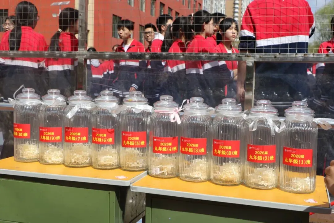 我的明天我做主——神木十一中中考动员大会剪影 第58张