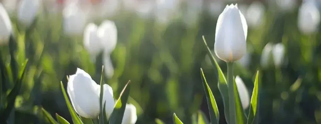 研料 || 中考研讨 | 以数据为镜 让复习有光——长沙县2026届中考数学复习研讨会总结(2026年上期初中研讨资料3) 第1张