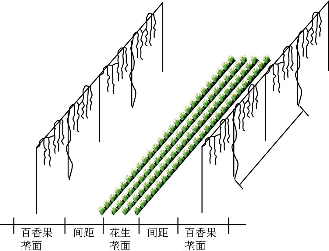 云南红河2026年高中三考前预测地理试卷 第8张