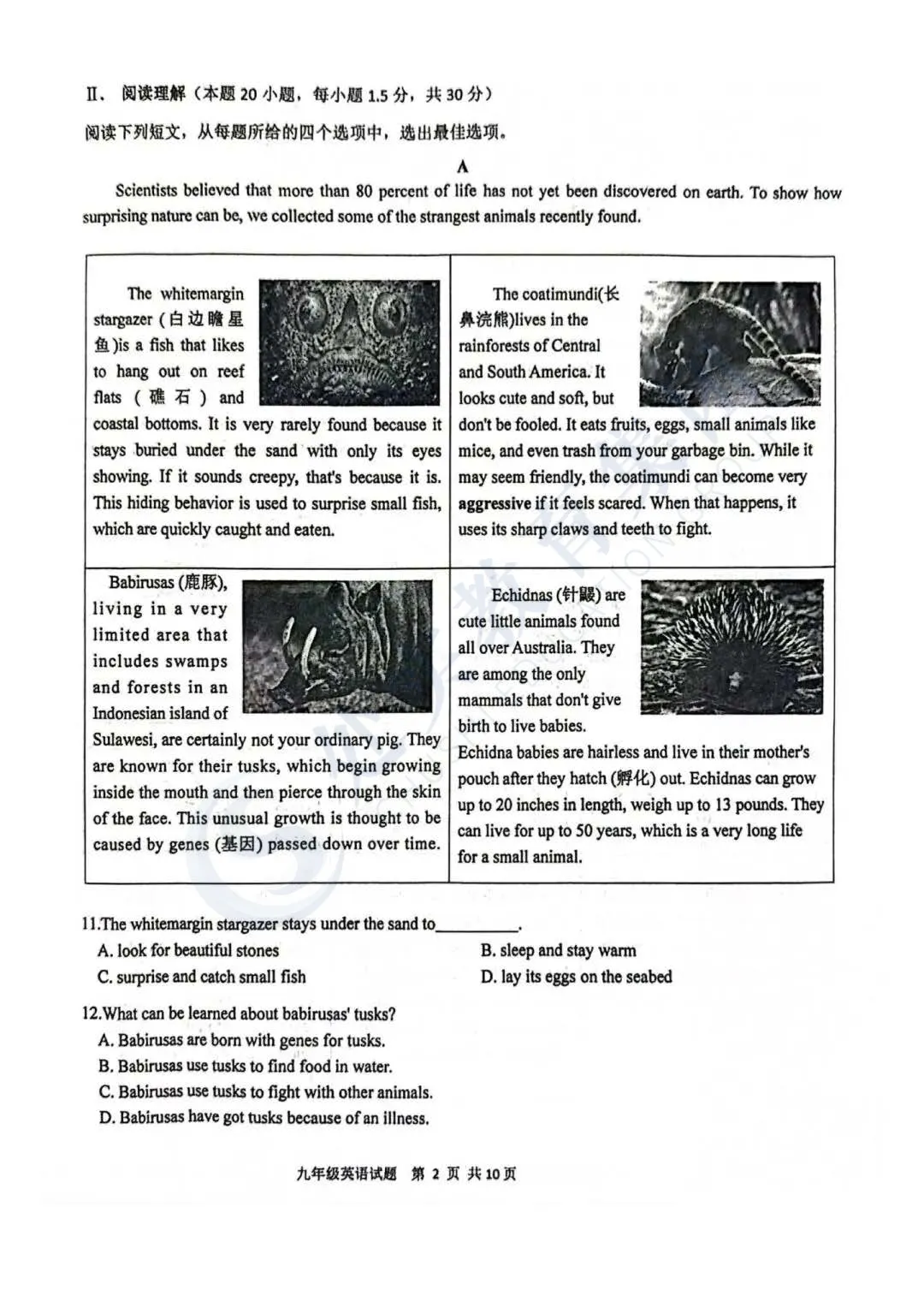 【真题领取】2026青岛市南中考一模语文、化学、英语、物理分享,内附领取方式! 第7张