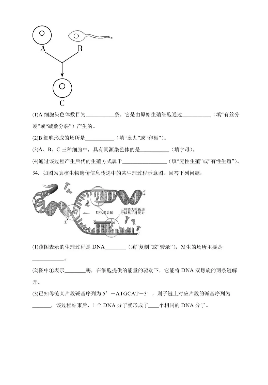【学业水平合格考真题】2025年普通高中学业水平合格性考试生物试题共14套(附解析可下载) 第5张