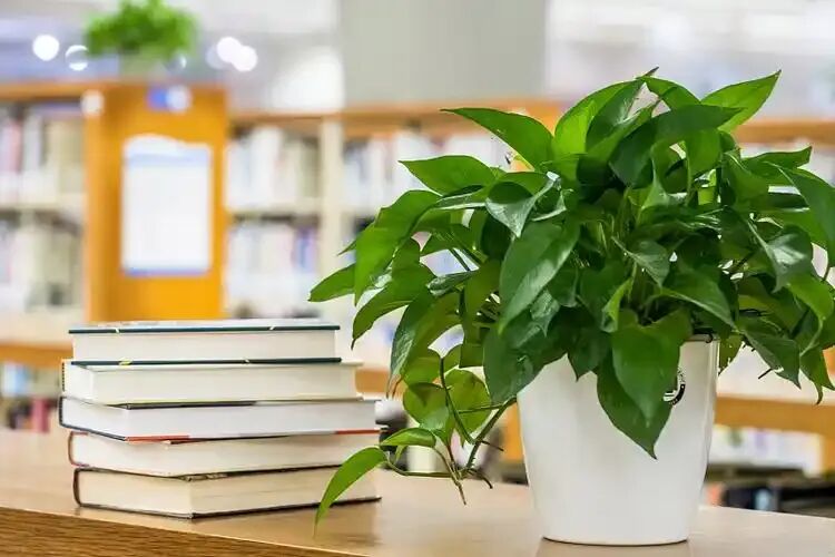 中考最后60天:集中火力打穿这三个点,目标高中就稳了 第1张