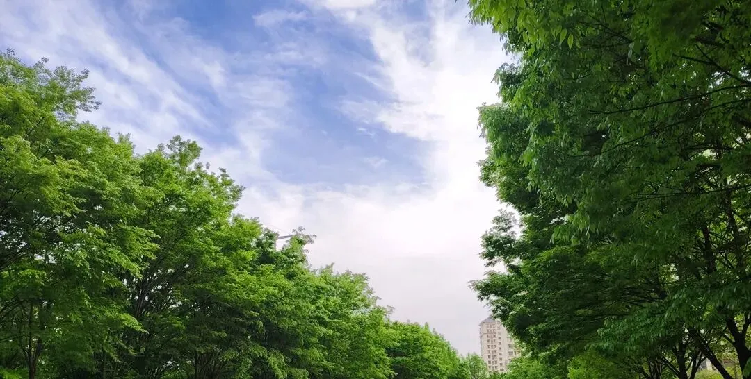 读懂材料,找准考点——道法中考真题拆解四步解题法(下) 第1张