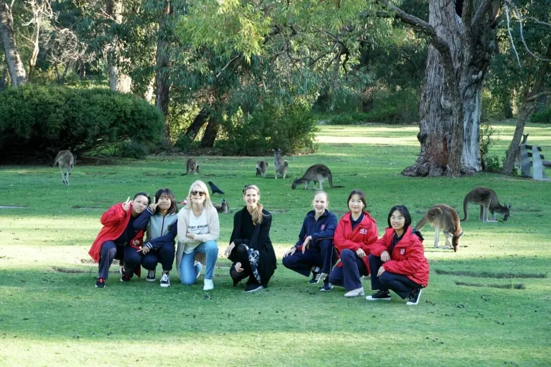 杭州绿城育华学校:中考各项数据居西湖区第一!西湖新晋顶流初中! 第52张