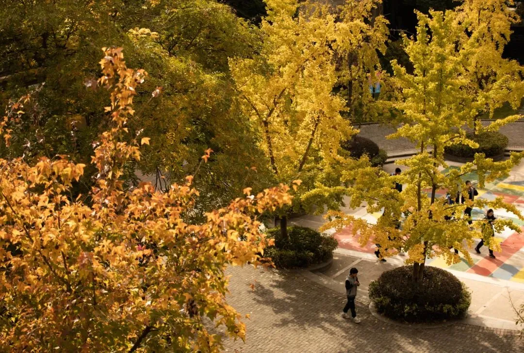 杭州绿城育华学校:中考各项数据居西湖区第一!西湖新晋顶流初中! 第66张