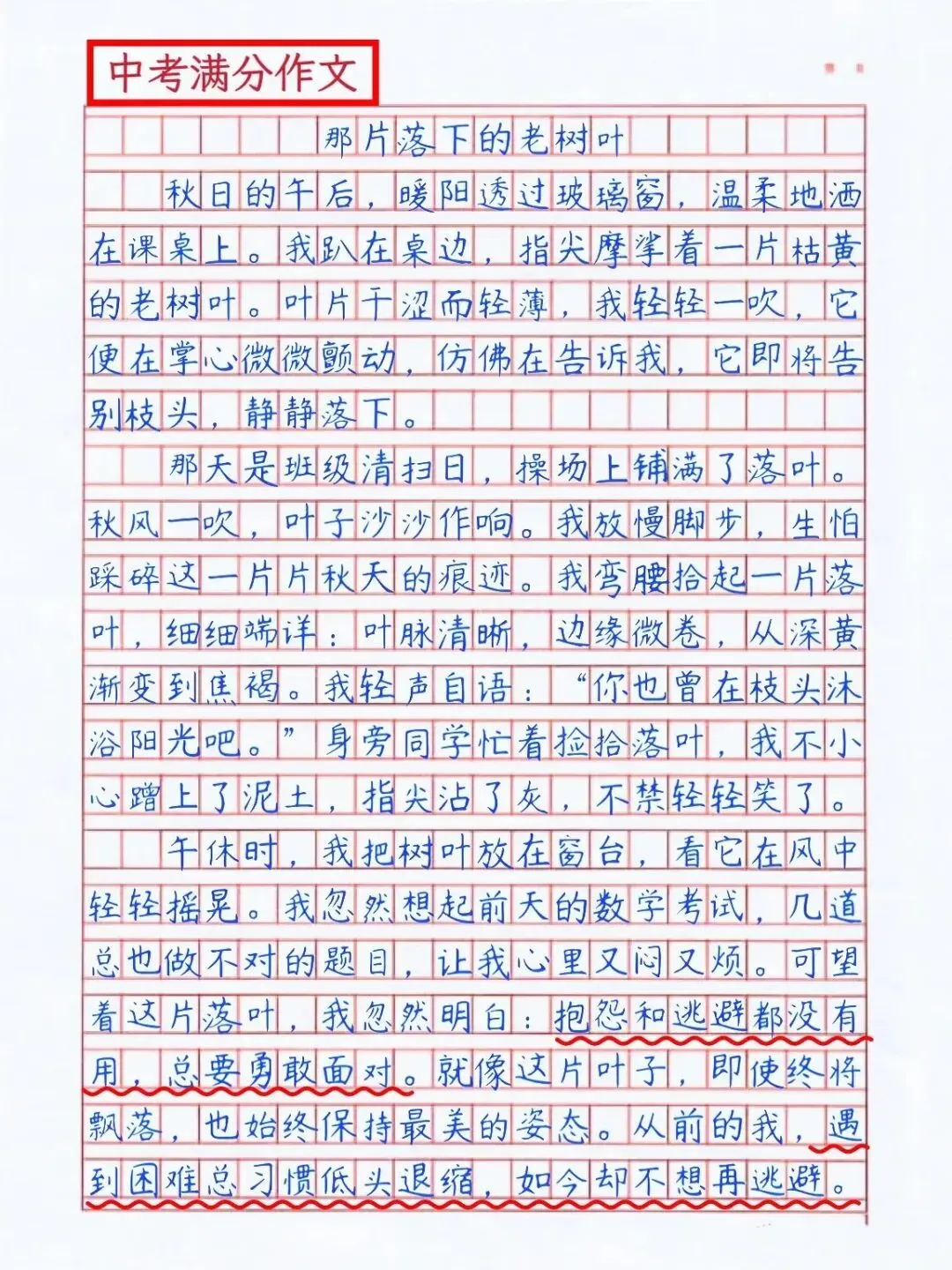 中考满分作文《那片落叶》 第1张