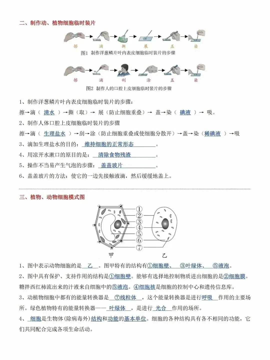 2026年中考生物常考识图练习题(含答案) 第2张