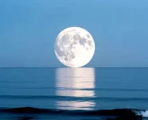 考前必练!25组各地最新模拟考试 理解性默写!建议收藏打印 第9张