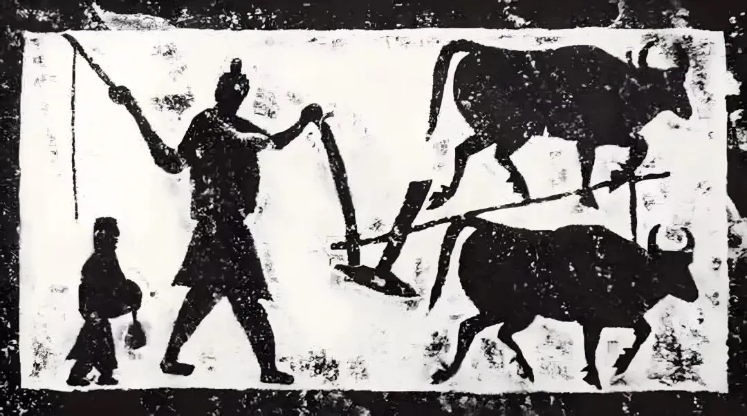 中考历史复习之中国古代史考点——农业篇 第1张