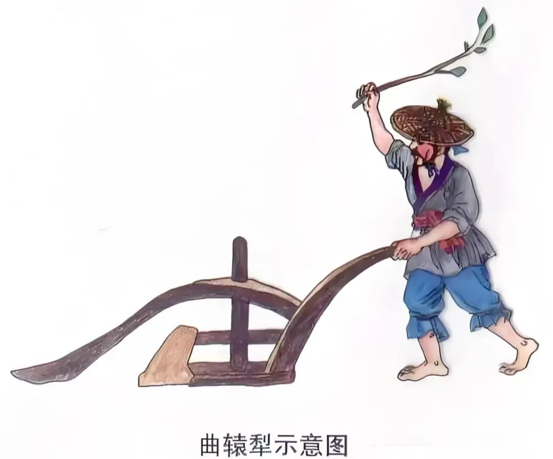 中考历史复习之中国古代史考点——农业篇 第3张