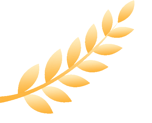 2026广东中考中职方向全解读|不想读普高?这条赛道才是弯道超车的真机会!初三生家长的定心丸 第9张