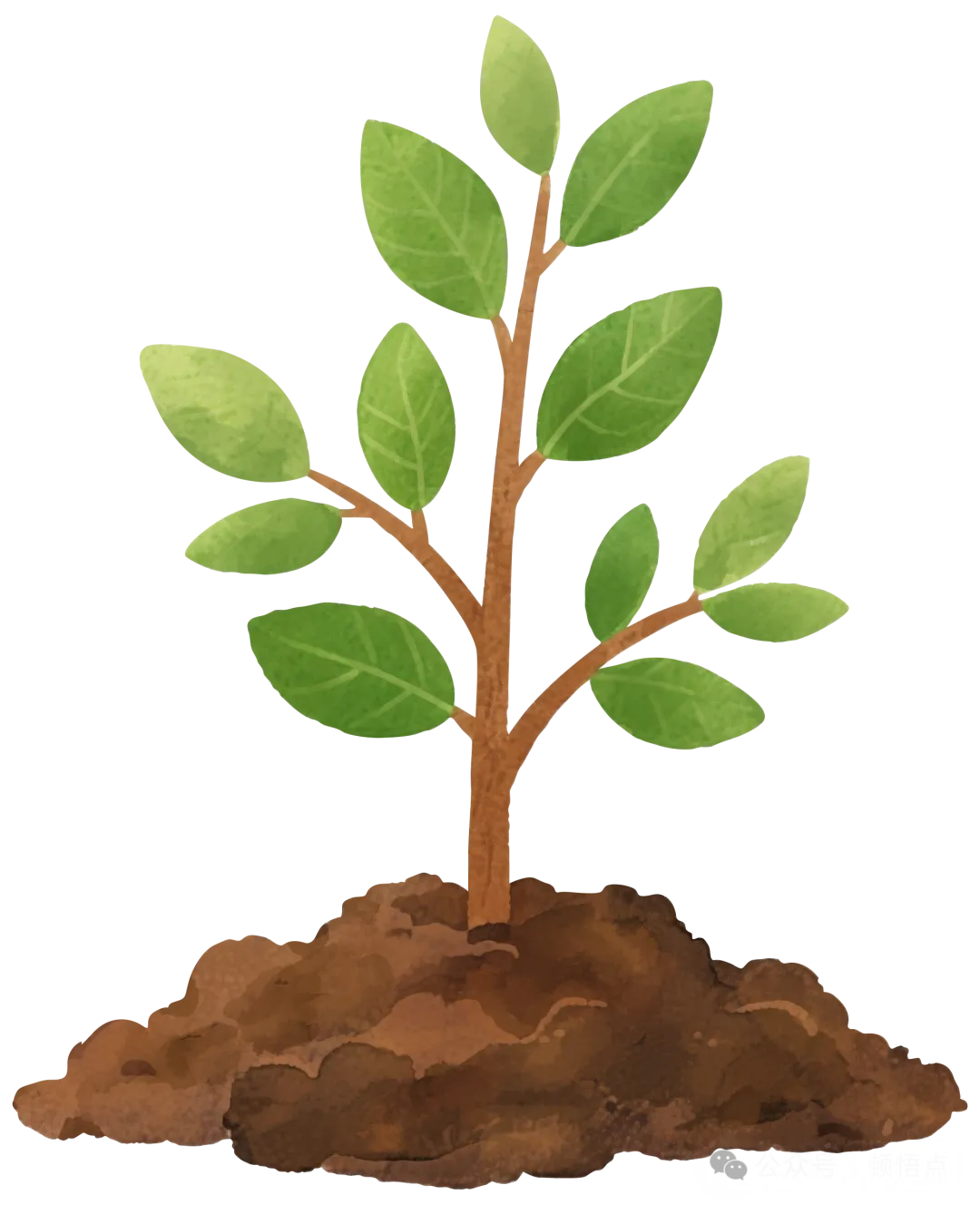 2026中考作文押题(10个主题+15篇范文),命中率高达90%! 第8张