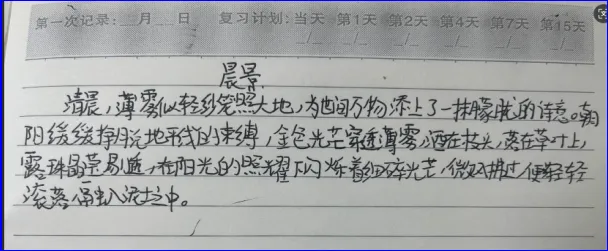一次中考作文练笔引发的思考:意象选对了、语言也优美、主题更没偏,然而还是低分 第2张