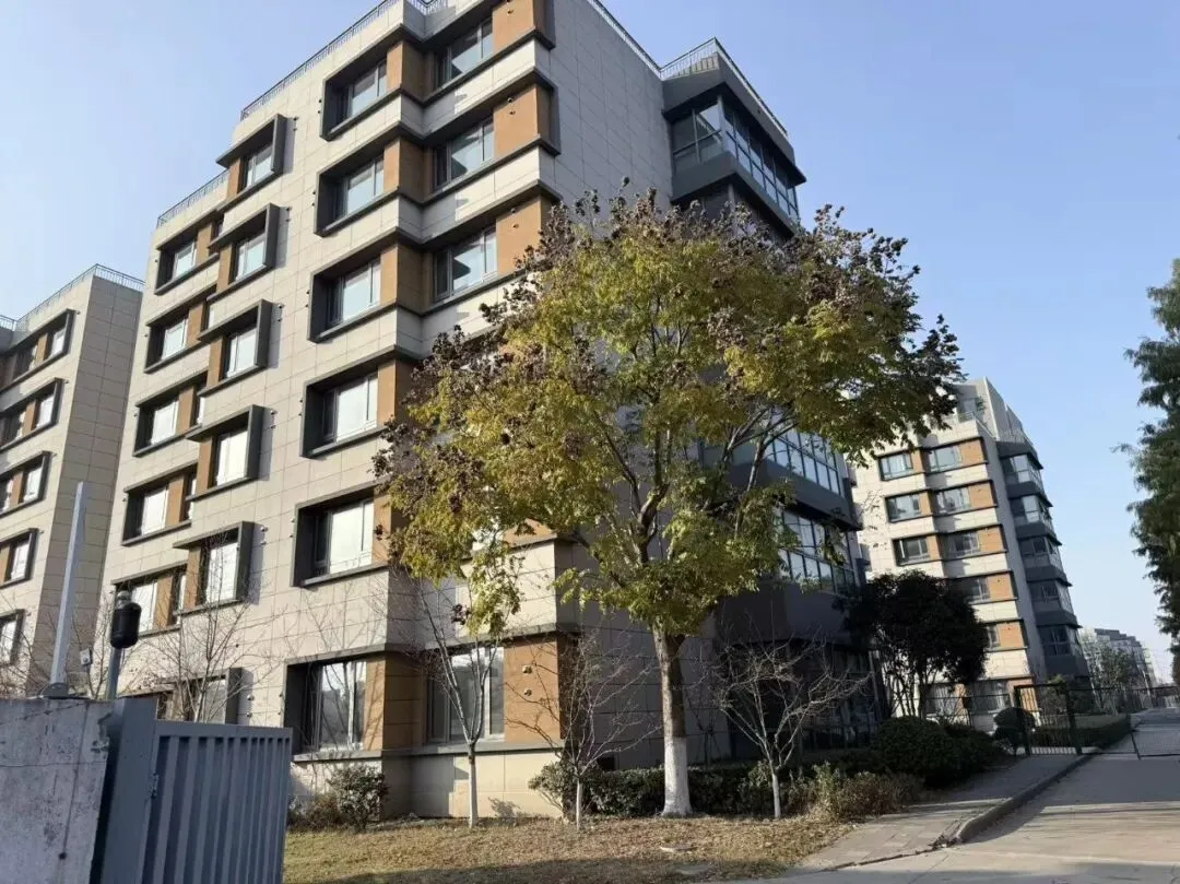 博越升学|昆山中考全日制冲刺班:高效提分,为冲刺理想高中保驾护航! 第13张