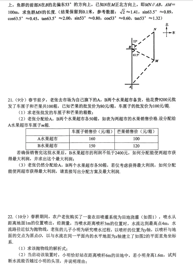 2025年河南省普通高中招生考试模拟(二模)数学 第6张
