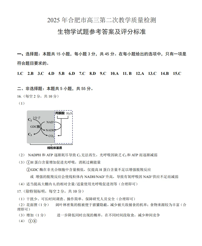 【免费领取】25年合肥二模全科真题卷及答案 第16张