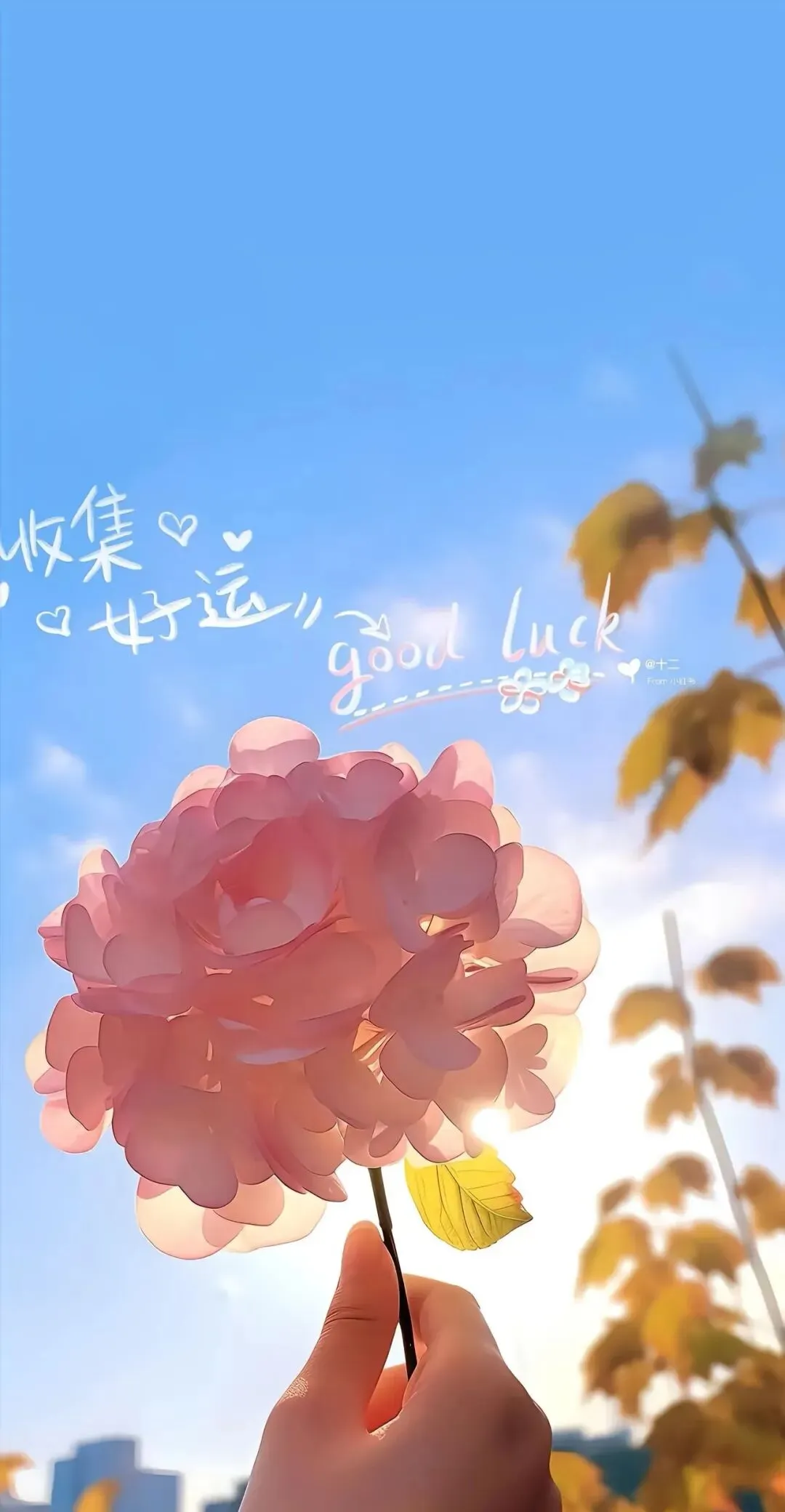 陪小哥哥走完去年的中考——写给今年陪考妈妈们的几点“走心版通关指南” 第6张