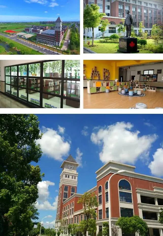 中考后转轨国际高中,上海枫叶双语学校为普娃提供一条逆袭赛道→ 第4张