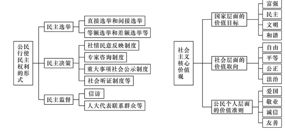 中考道法常见关系图 第8张