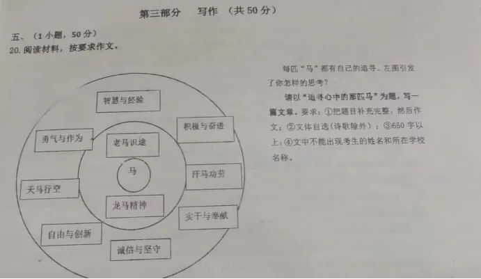 中考作文百日攻坚(20)六中一模:追寻心中的那匹马 第1张