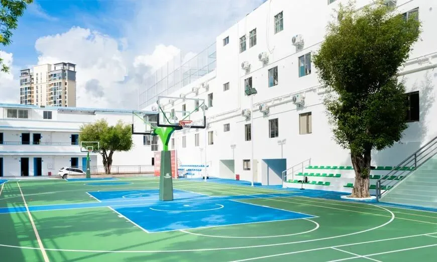 深圳中考冲刺培训-深圳大朋友教育学校招生信息 第1张