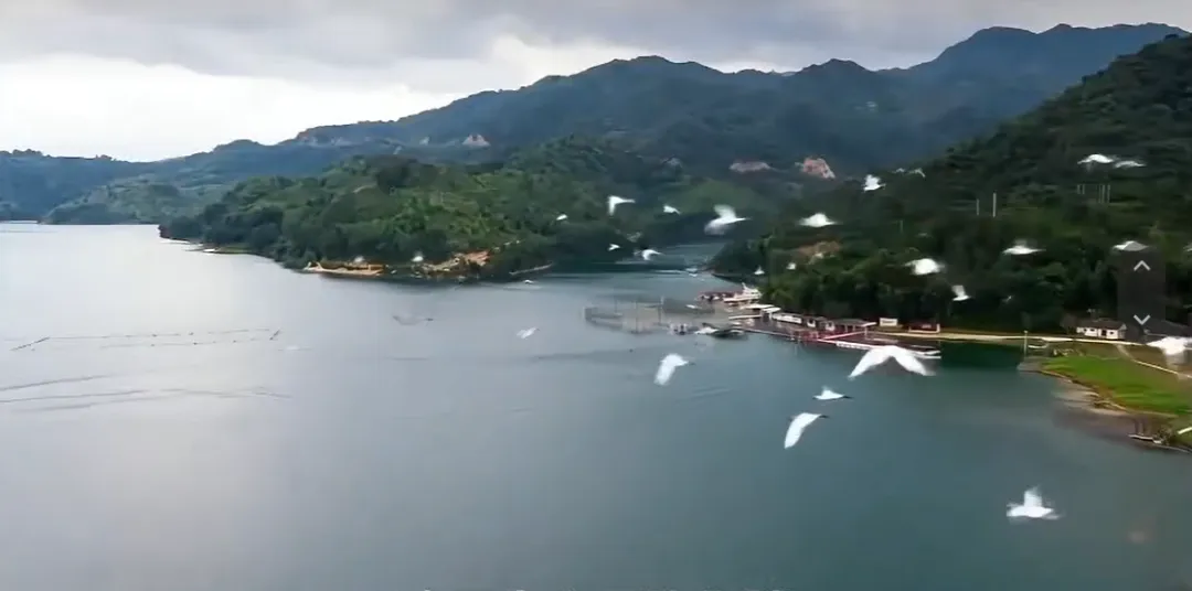 中考真题赋能课堂 | 25省卷无人机测绘问题 第4张