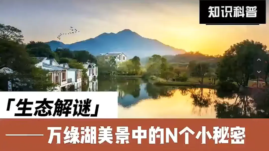 中考真题赋能课堂 | 25省卷无人机测绘问题 第11张