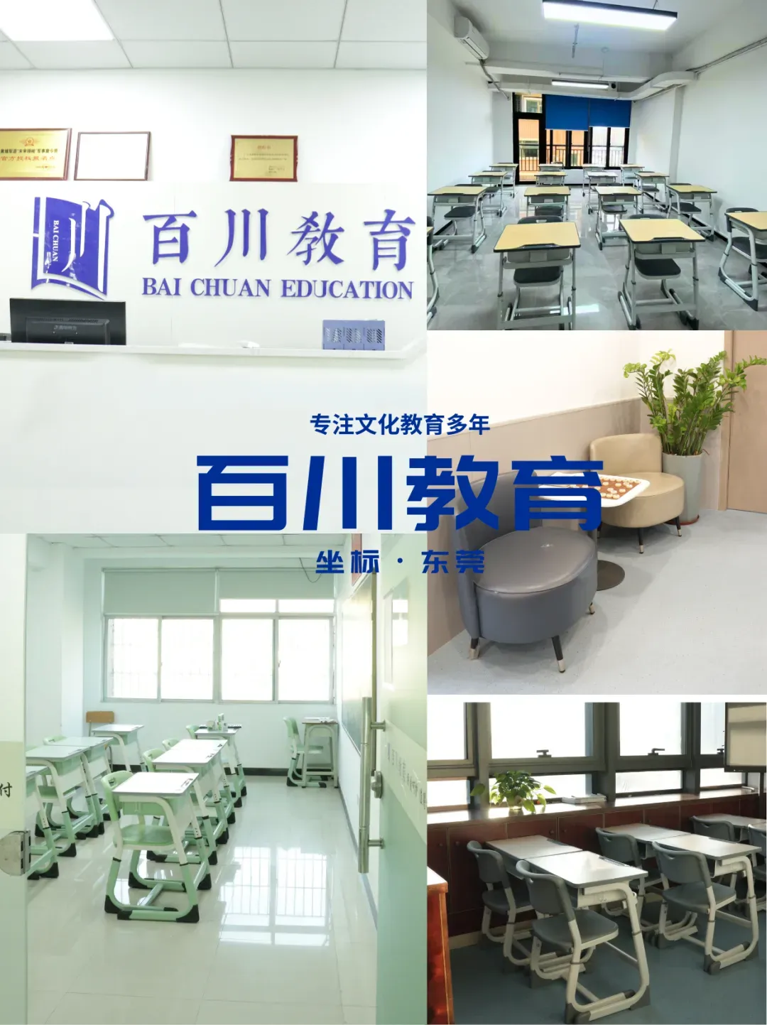 中考志愿填报必收藏!东莞近五年中考录取分数线汇总 第32张